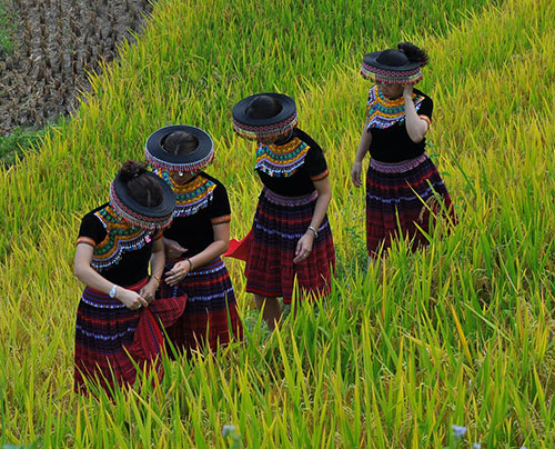Traditional Miao Hmong headpiece